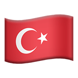 Türkçe